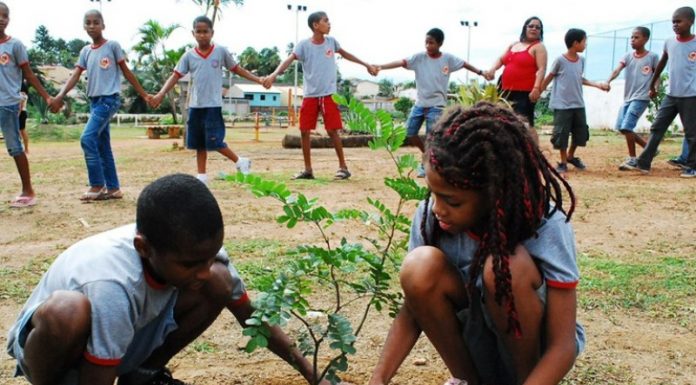 Educação ambiental pode virar disciplina obrigatória nas escolas – será?