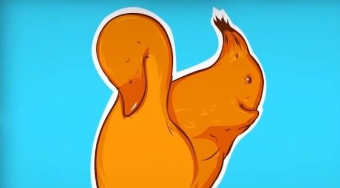 Este teste não é para qualquer um: Qual animal você vê primeiro?