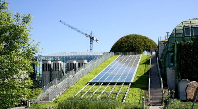 Telhados verdes:  tecnologia que tem incríveis benefícios