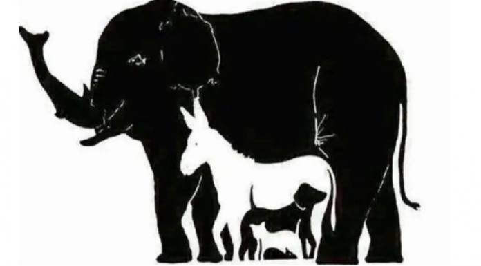 O número de animais que você vê pode revelar segredos sobre você!