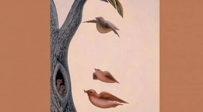 Teste: sua resposta revelará o desejo secreto que está atualmente em seu coração!