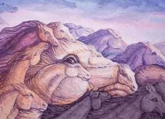 Teste: quantos cavalos você vê nesta imagem? A resposta pode revelar muito sobre você!