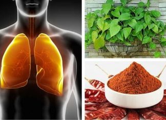 Como fazer uma limpeza pulmonar e brônquica.