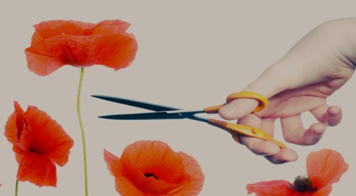 Síndrome de alta exposição: quando eles tentam afundar você porque você se destaca.