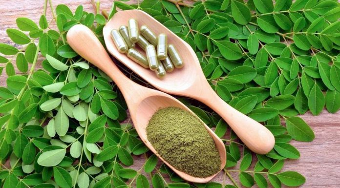 Fácil! Aqui está como fazer pó e máscara de folhas de moringa.