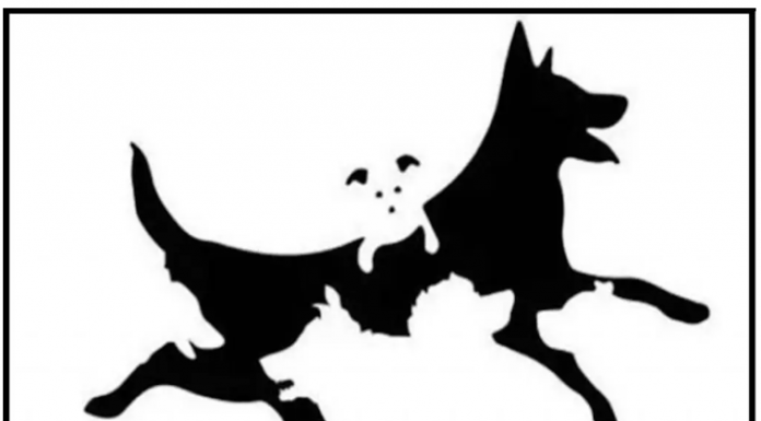 Quantos cães você vê na foto? Sua maturidade psicológica é revelada nesse teste