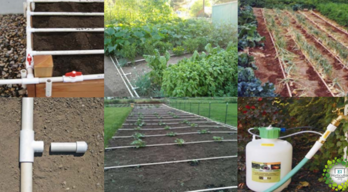 Como construir um sistema de irrigação por gotejamento em casa