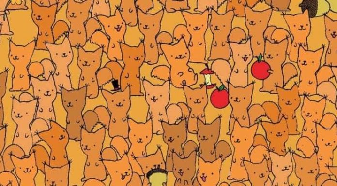 Somente os mais inteligentes podem encontrar o rato entre os esquilos em menos de 1 minuto