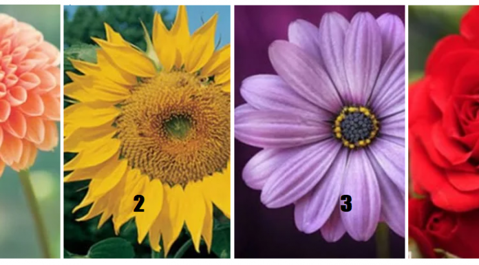 Teste incomum: escolha uma flor preferida e descubra a essência da sua alma