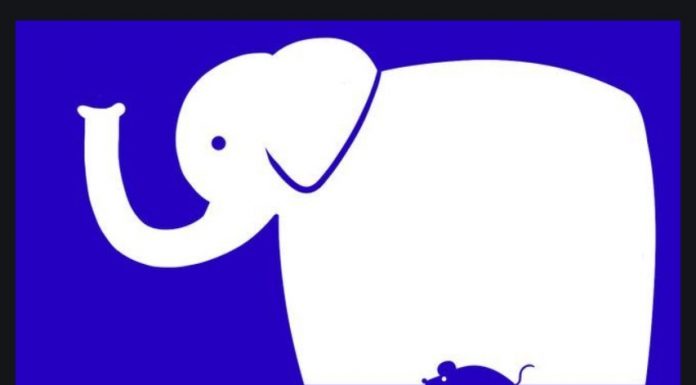 Teste: O que você viu primeiro pode sinalizar sobre seu caráter