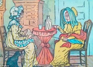 Teste de atenção: quantos gatos há na foto? Encontre todos!