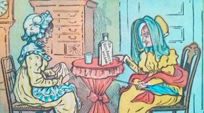 Teste de atenção: quantos gatos há na foto? Encontre todos!