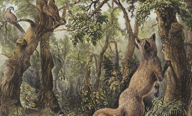 Teste perceptivo:  você consegue ver quantos animais?