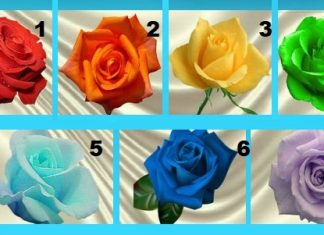 Teste: a cor da rosa fala sobre o destino e caráter