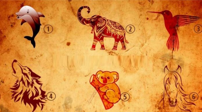 Teste: Olhe atentamente a imagem e escolha um dos animais.