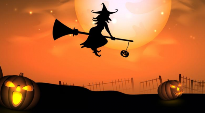 Vamos brincar: que bruxa você é de acordo com seu signo do zodíaco