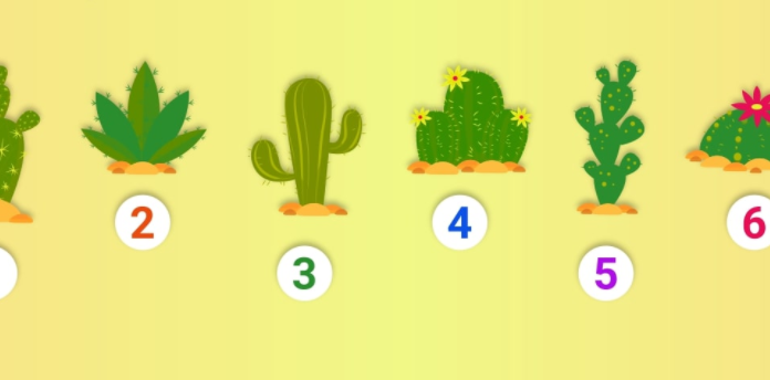 Teste de personalidade: o cacto escolhido diz como você incomoda outras pessoas.