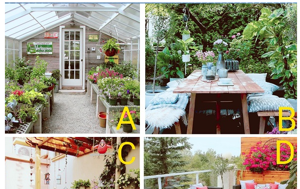 Quando apaixonado, você é facilmente seduzido por ‘palavras doces’?Faça o teste e comprove.