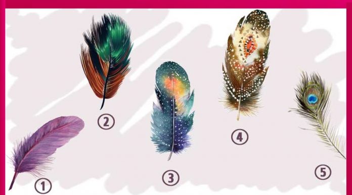 Escolha  a pena que mais chama a sua atenção e descubra o seu significado.