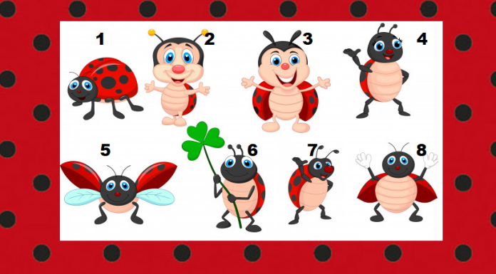 Escolha uma joaninha e receba uma mensagem