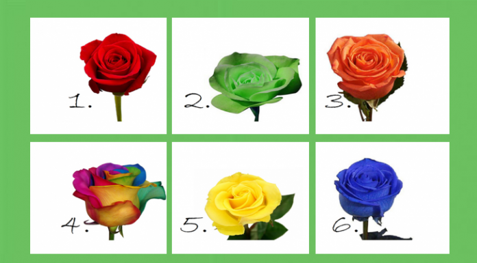 Teste: escolha sua rosa favorita e descubra que segredos de personalidade ela revela