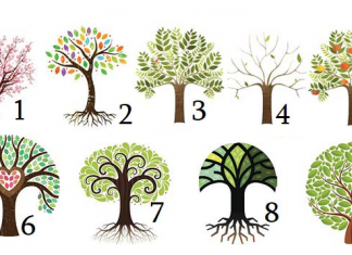Teste: A árvore que o atrai pode revelar seu traço de personalidade dominante.
