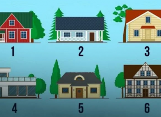Selecione a casa em que você gostaria de morar. Sua decisão indicará quem você é.