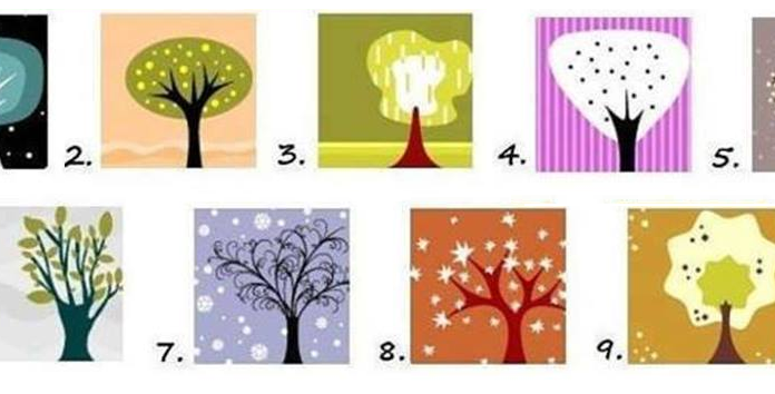 Escolha a árvore com a qual mais se identifica e saiba mais sobre você