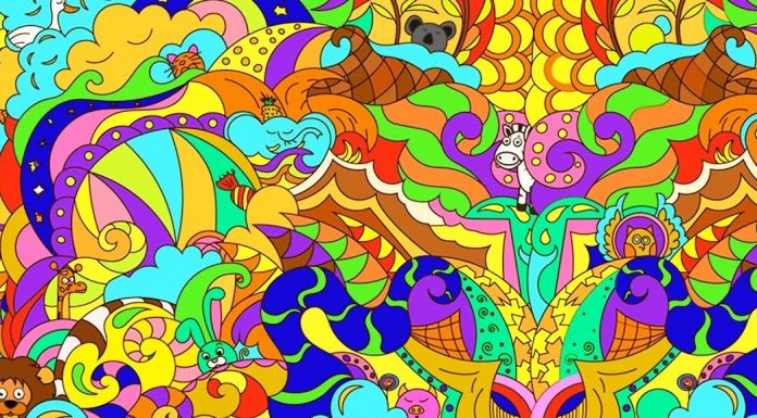 Realize este teste simples e veja o que o animal que você avistou primeiro diz sobre a sua personalidade!