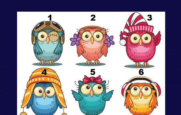 Teste psicológico: escolha uma coruja e ela lhe dará conselhos sábios