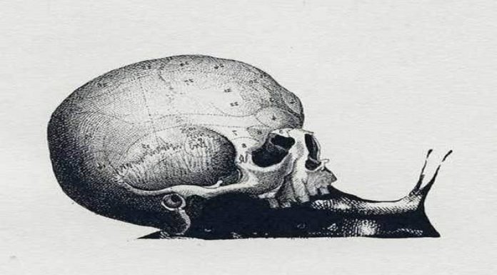 Caveira ou Caracol? Teste que revela algo especial sobre sua personalidade.