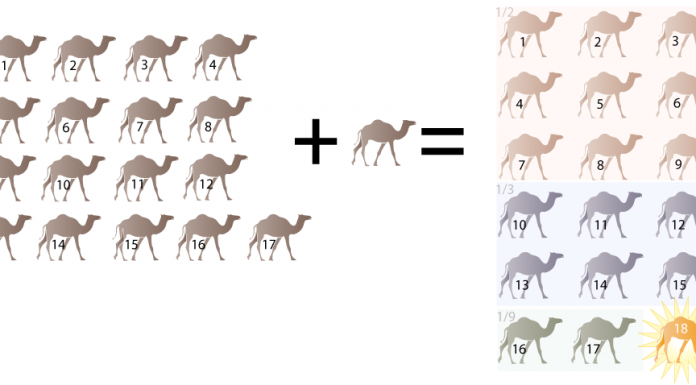 Intrigante mistério: desafio-os a resolver a questão dos 17 camelos.