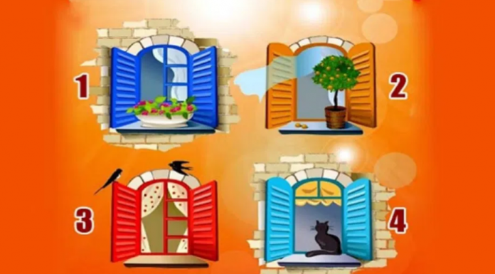 O que você procura no grande mundo? Escolha a moldura da janela que você mais gosta e descubra!