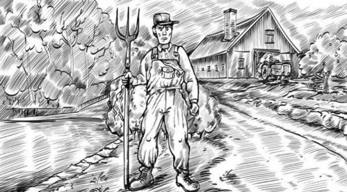 Enigma visual: você consegue encontrar a esposa do fazendeiro escondida na foto?