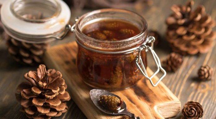 Um sabor de cura com um efeito natural de xarope para a tosse: xarope de cone/pinha