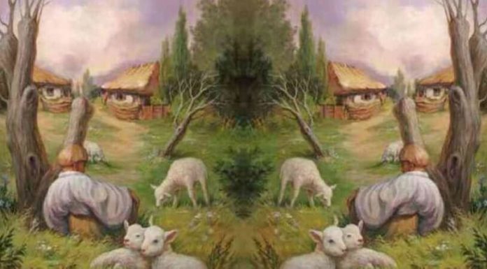 A primeira coisa que você vê na imagem indica o que você quer em um relacionamento