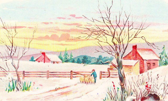 Apenas 5% das pessoas conseguem encontrar todos os animais da foto. Você vai conseguir?