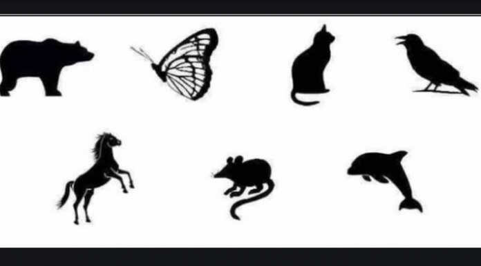 Teste: em qual animal você gostaria de se transformar? Descubra o que está escondido em sua psique!