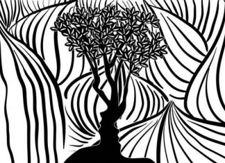 O que você vê primeiro na foto? Este teste irá revelar sua verdadeira face