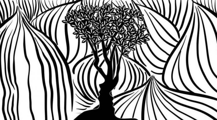 O que você vê primeiro na foto? Este teste irá revelar sua verdadeira face