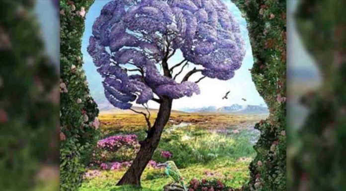 Como é a sua vida interior? Descubra com este teste