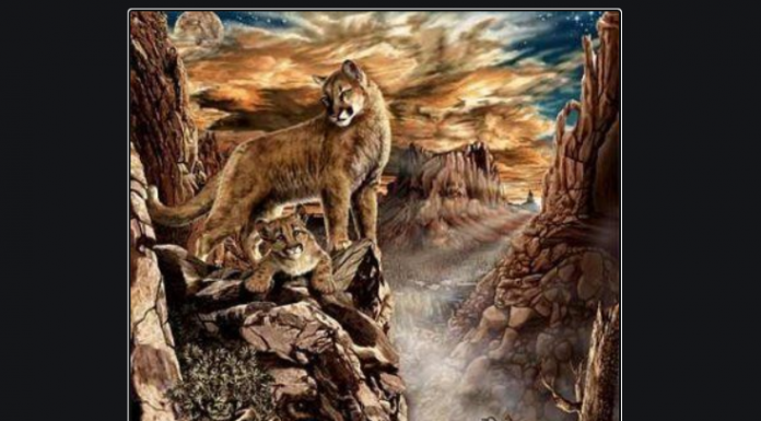 Desafio: Diga-nos quantos pumas você vê?