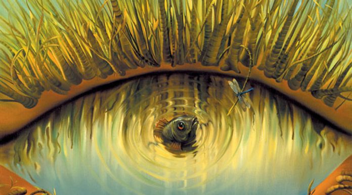 Teste: descubra seu traço de caráter mais fraco e saiba como corrigi-lo