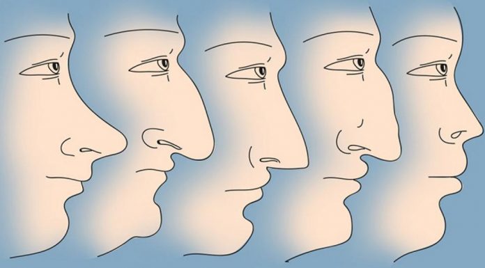 Teste: O que o formato do seu nariz pode dizer sobre você