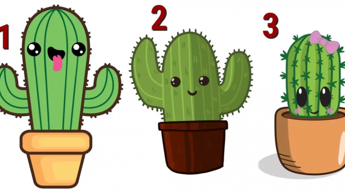 Teste psicológico: escolha um cacto e descubra  qual comportamento em relação aos outros você deve evitar.