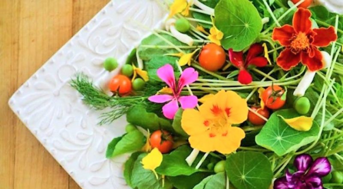 Listamos algumas flores comestíveis para degustar