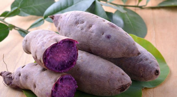 Um super alimento que vai encantar você com sua cor e surpreender com seus benefícios: batata roxa.