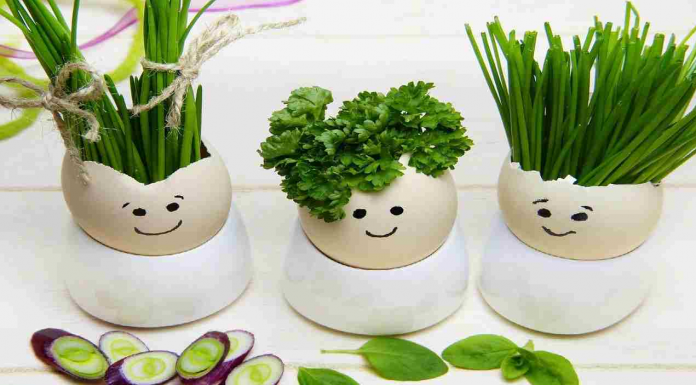 Salsa para cabelos mais brilhantes e fortes, como usá-la melhor? Instruções e conselhos