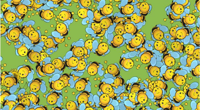 Todas estas abelhas estão procurando o girassol, mas onde ele se escondeu?