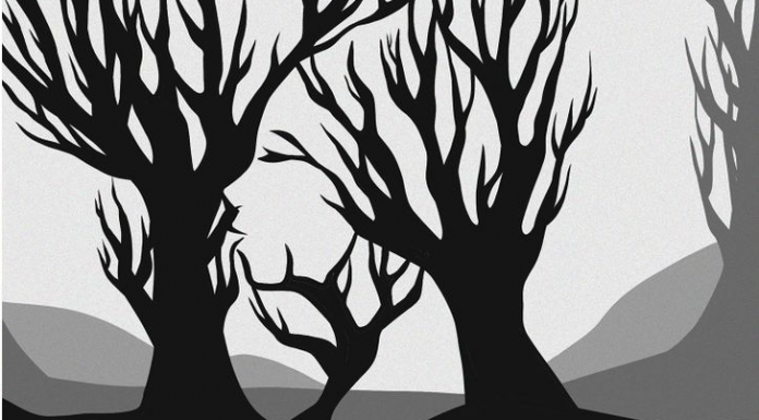 Teste rápido: Encontre a face na imagem em 09s!